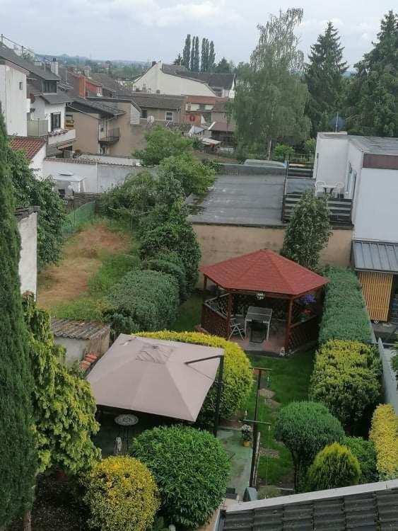 סארלואי Ferienwohnung Andreea מראה חיצוני תמונה