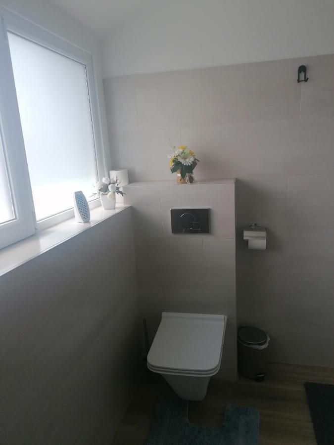 סארלואי Ferienwohnung Andreea מראה חיצוני תמונה